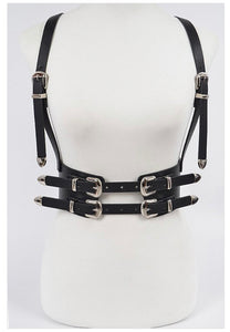 Double Buckle Harness